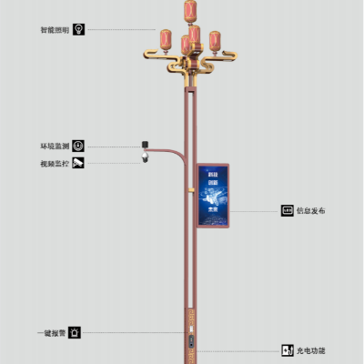 菲尼特智慧路灯祥瑞
