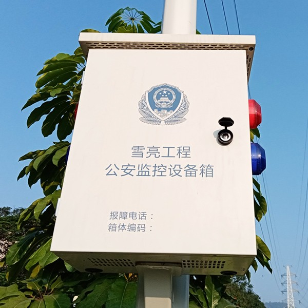 雪亮工程杆