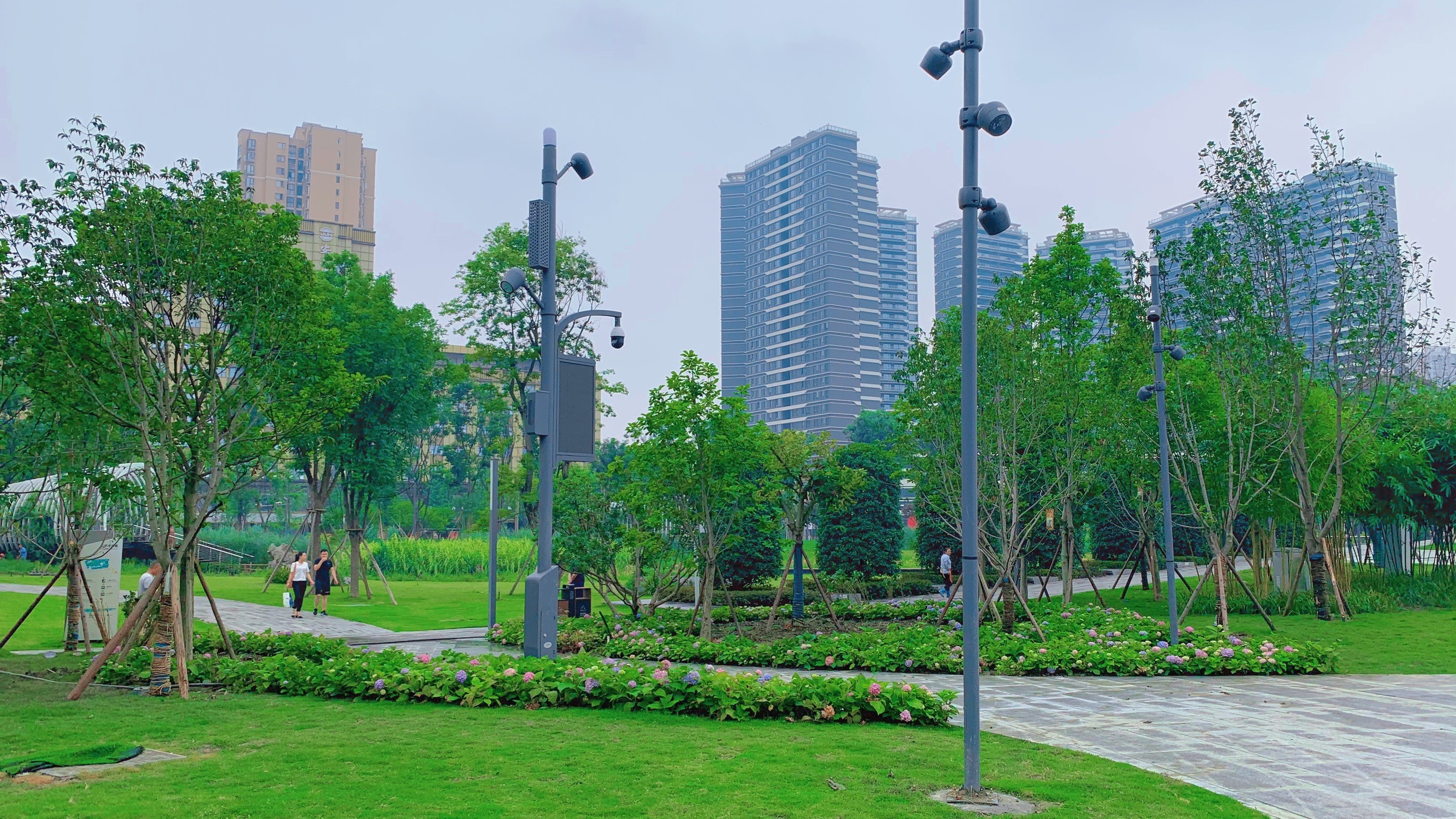 四川智慧路灯批发在哪