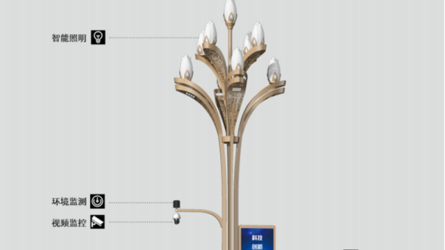 四川标准文化特色路灯杆